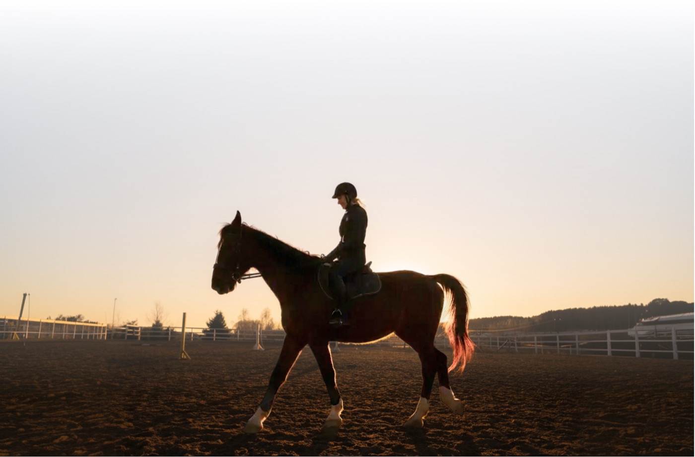 Rider and horse at sunset